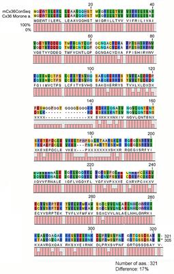 Connexin36 Expression in the Mammalian Retina: A Multiple-Species Comparison